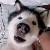 我要吃方便面