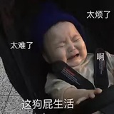 谁还没看祈今朝