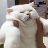 相和流