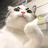 快乐李马克