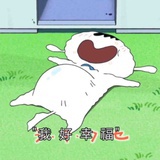 菜菜