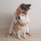 小款