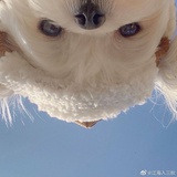 小软