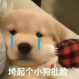 Li-gao