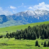 吃的全是好东西