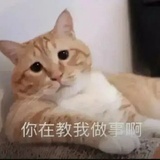 改个名字叫小卓