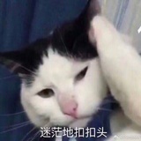 我超爱吃午餐肉