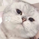 旧殇