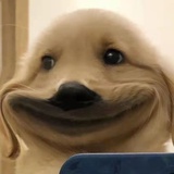 逢春·