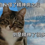 芒果冰沙sk