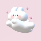 木子安安r