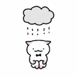 在下猫猫雨
