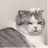 如意金箍壳