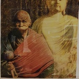 一只小蚂蚁