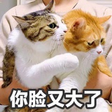 豆友1113737838