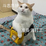 啊是锦鲤！
