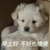 泡芙