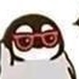 饼干渣儿