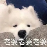 深刻自我反思