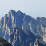 兔兔