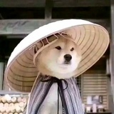 夢在何方