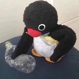 小熊饼干