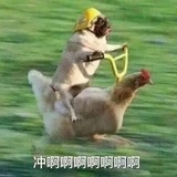 青岛啤酒
