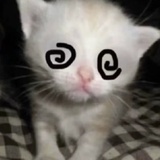 原来是给片