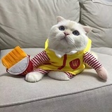 瓜子吖