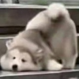 风起