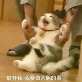 屶💫