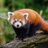 晓筱