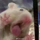 丸兔思瑞佛