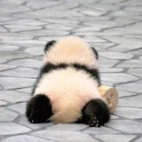 罐装