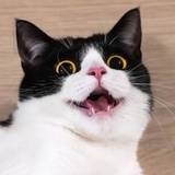 南如灯天