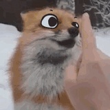 ♥️A