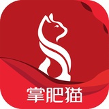 掌肥猫