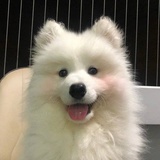 心之所向gj