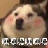 干饭人虽迟但到
