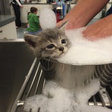 yyyyaw.