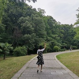 知了