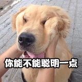哈哈哈哈哈🍃