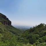 空山新雨后