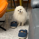 狗团长的铲屎官
