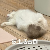鳄鱼