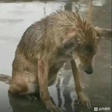 徐谋石乐志