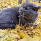 十思