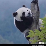 没想好