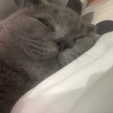 满杯金菠萝