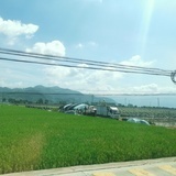 已注销